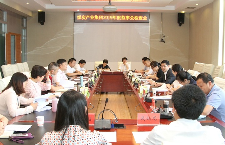 云南省煤炭产业集团监事会召开2019年度工作检查会