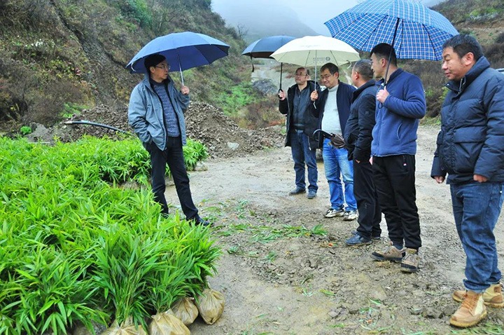 集团党委副书记、总经理高建嵩一行深入乡村振兴挂钩帮扶点寿山镇调研