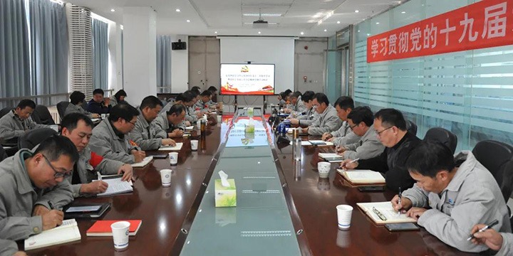 先锋化工党委专题学习党的十九届六中全会精神